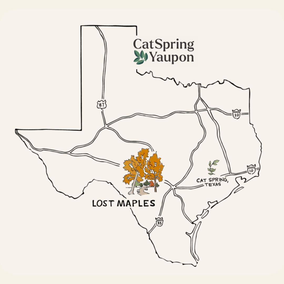 Lost Maples - Medium Roast Bulk (1 lb)