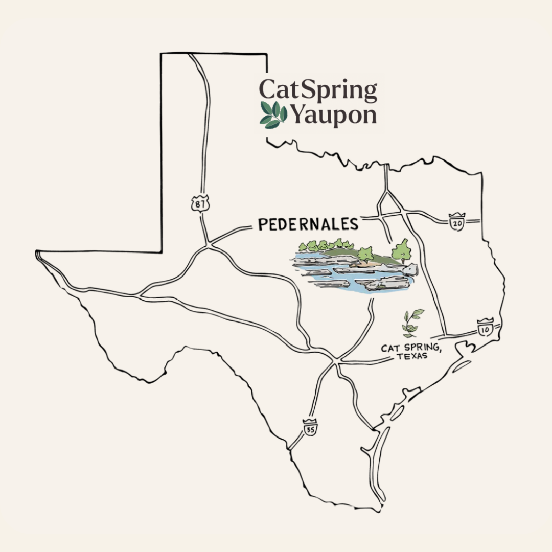 Pedernales Green Yaupon – Green Yaupon – Loose Leaf & Teabags