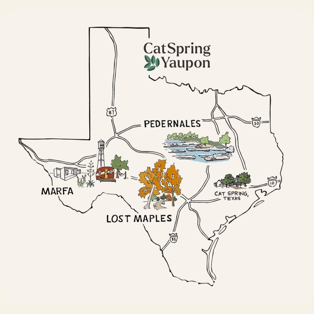 Loose Leaf Yaupon Variety Pack – Green, Medium & Dark Roasts